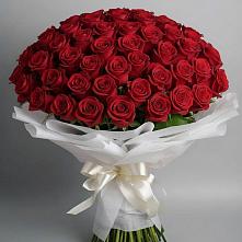 Букет 101 Красная роза Блэк Мэджик в Турксаде