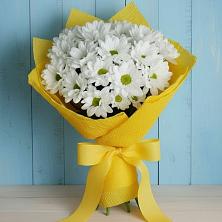 Букет цветов из:  Хризантемы в Турксаде