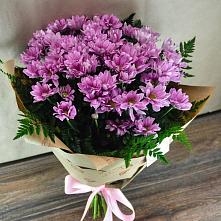 Букет цветов из:  Хризантемы #REPLACE_PRED# Турксаде