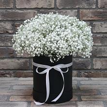 Цветочная композиция из Гипсофила в шляпной коробке #REPLACE_PRED# Турксаде