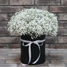 Цветочная композиция из Гипсофила в шляпной коробке в Турксаде