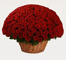 Премиум букет из: Розы в Турксаде