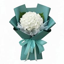 Букет цветов из:  Гортензия в Турксаде